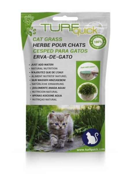 LOGO_Cat grass