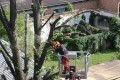 LOGO_Zertifikatslehrgang: Hubarbeitsbühnen in der Baumpflege