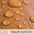 LOGO_NaturExpert Oils
