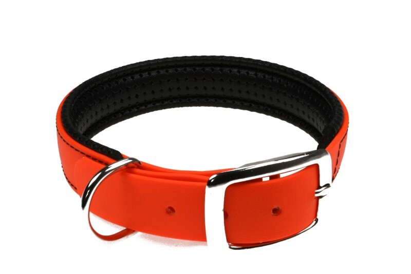 double bar buckle dog collar