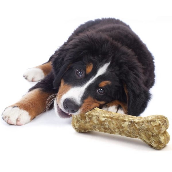 natural chew bones for dogs