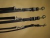 LOGO_Training Leash