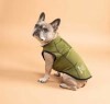 LOGO_Softshell Dog Coat