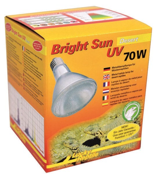 LOGO_Lucky Reptile Bright Sun