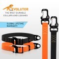 LOGO_Evolutor - the most durable collar and leash