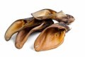 LOGO_Cow ear
