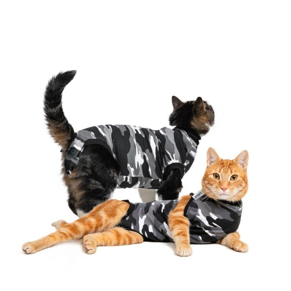 LOGO_Recovery Suit® Katze