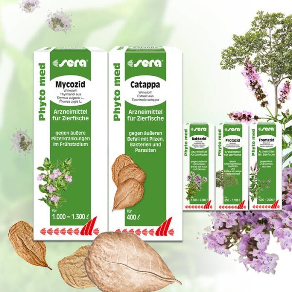 LOGO_Innovation im Bereich der pflanzlichen Arzneimittel
