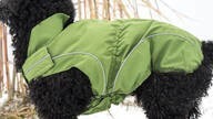 LOGO_Hunde Regenjacke in Grün