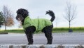 LOGO_Dog’s rain jacket / all-year jacket in green “MATT”
