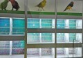 LOGO_BIRDS AND PARROTS DISPLAY