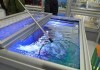 LOGO_KOY CARP DISPLAY
