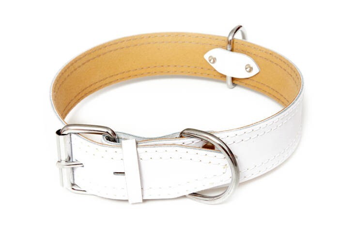 LOGO_Leather collar decorated with sewing, HERRY