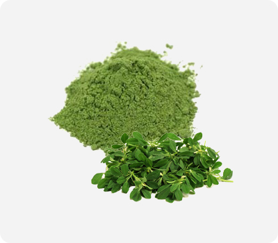 LOGO_Methi Leaves Powder