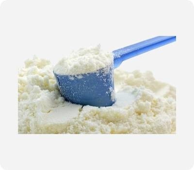 LOGO_Milk Powder