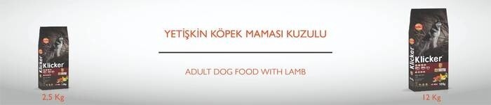 LOGO_Adult Dog Food with Lamb