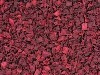 LOGO_Red Beet