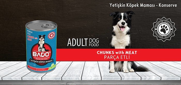 LOGO_CHUNKS WITH MEAT DOG FOOD - CANNED