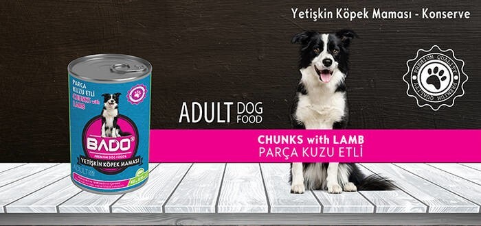 LOGO_CHUNKS WITH LAMB MEAT DOG FOOD - CANNED