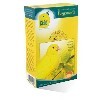 LOGO_Eisnack für Kanarienvögel