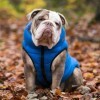 LOGO_Blue & Navy Dog Puffer Jacket