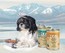 LOGO_100% Natural Grain Free Canned Food for Dogs