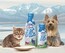 LOGO_100% Natural Lactose Free  Pet Milk for  Cats & Dogs