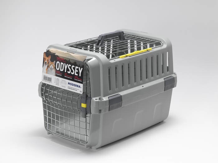 LOGO_Odyssey
