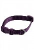 LOGO_Verstelbares nylon Halsband, 10 mm x 20 - 30 cm, Farbe lila