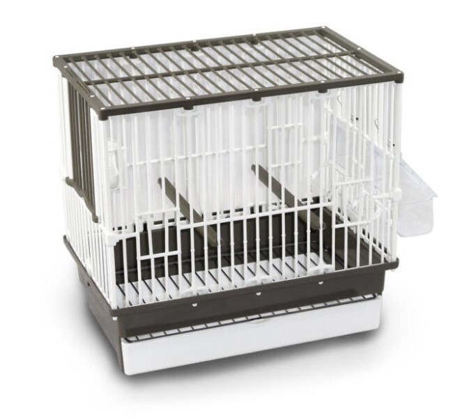LOGO_Cage Canarina