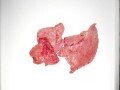 LOGO_Beef and pork lung
