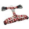 LOGO_MORSO® post-consumer INTENSE polyester Satin H Hundegeschirr
