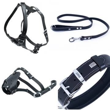 LOGO_LEATHER DOG ACCESSORIES
