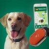 LOGO_Safer Pet GPS Dog Tracker