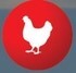 LOGO_Poultry