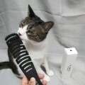LOGO_EL AMIGO Pet Brush Black Slicker