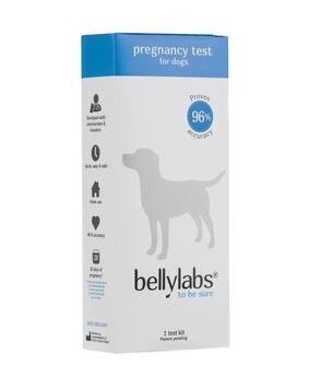 LOGO_Bellylabs Pregnancy Test for Dogs