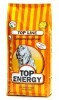 LOGO_Top Energy