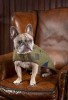 LOGO_Tweed Dog Coat