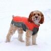 LOGO_Hundejacke Wasserdicht Winter Mantel Hund Katze