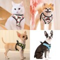 LOGO_Hund Katze Harness Weste