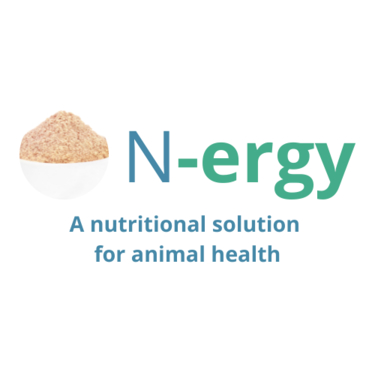 LOGO_N-ergy