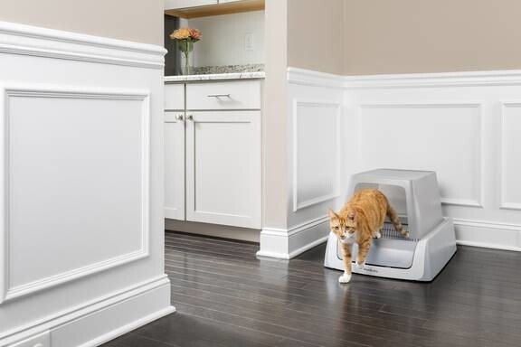 LOGO_ScoopFree™ Covered Self-Cleaning Litter Box