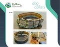 LOGO_Dog Collars
