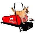LOGO_dogPACER LF 3.1 Dog Treadmill