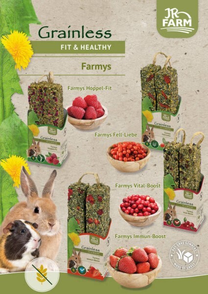 LOGO_JR Grainless Health Farmys