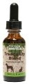 LOGO_Tranquillity Tonic
