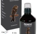 LOGO_PIGMENT • Melanine zu intensivieren