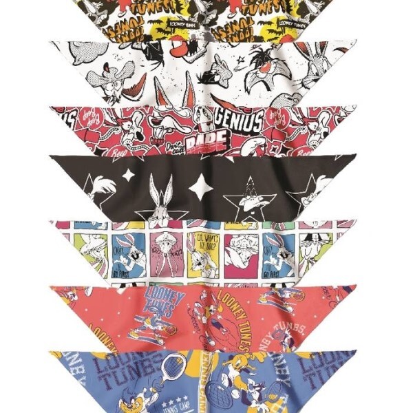 LOGO_Looney Tunes Bandanas