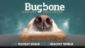 LOGO_BugBone gemaakt met insecteneiwit
